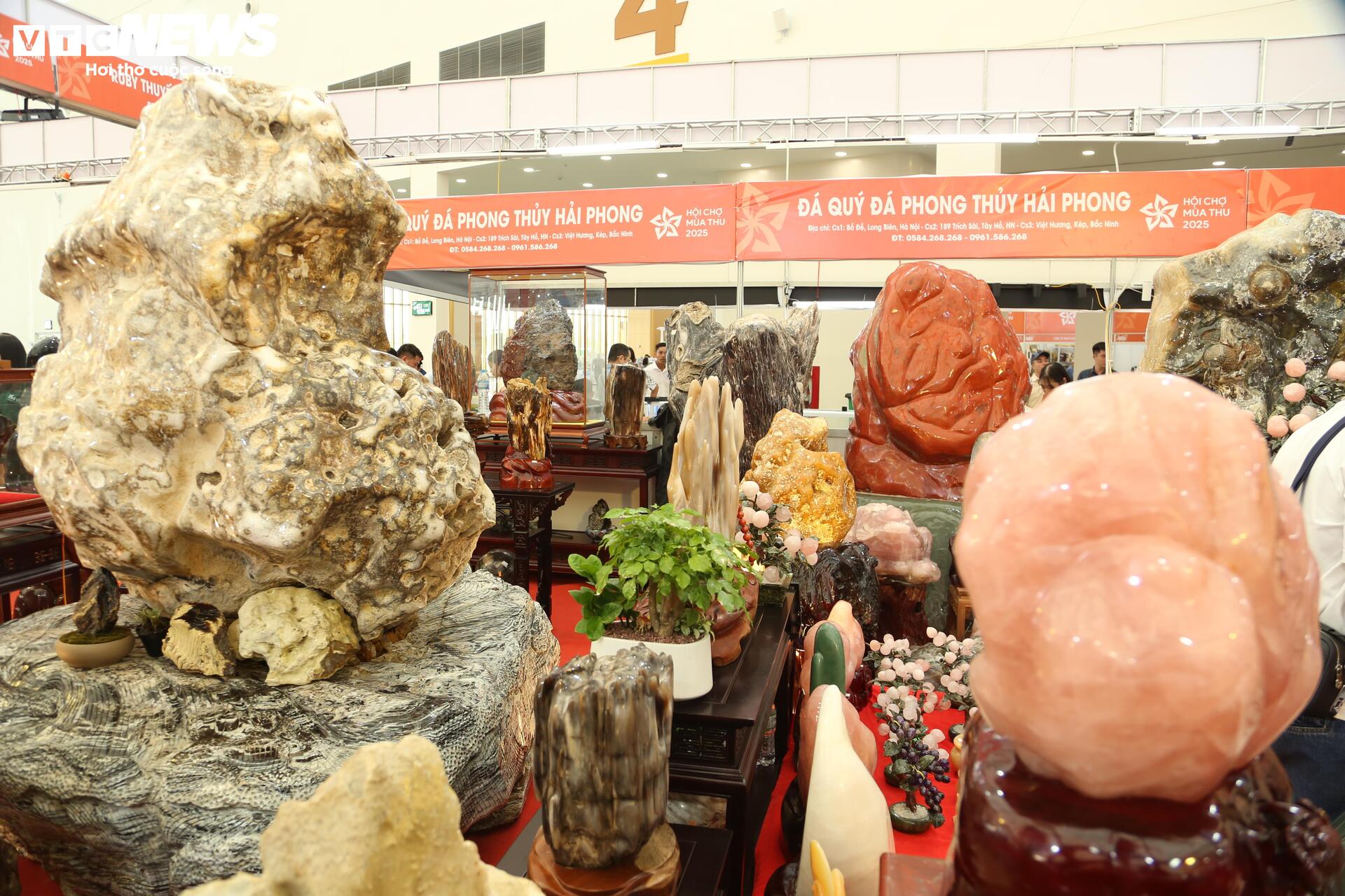 Khách tò mò ngắm san hô, gỗ hóa thạch trăm triệu tuổi, giá tiền tỷ- Ảnh 6. Khách tò mò ngắm san hô, gỗ hóa thạch trăm triệu tuổi, giá tiền tỷ- Ảnh 6.