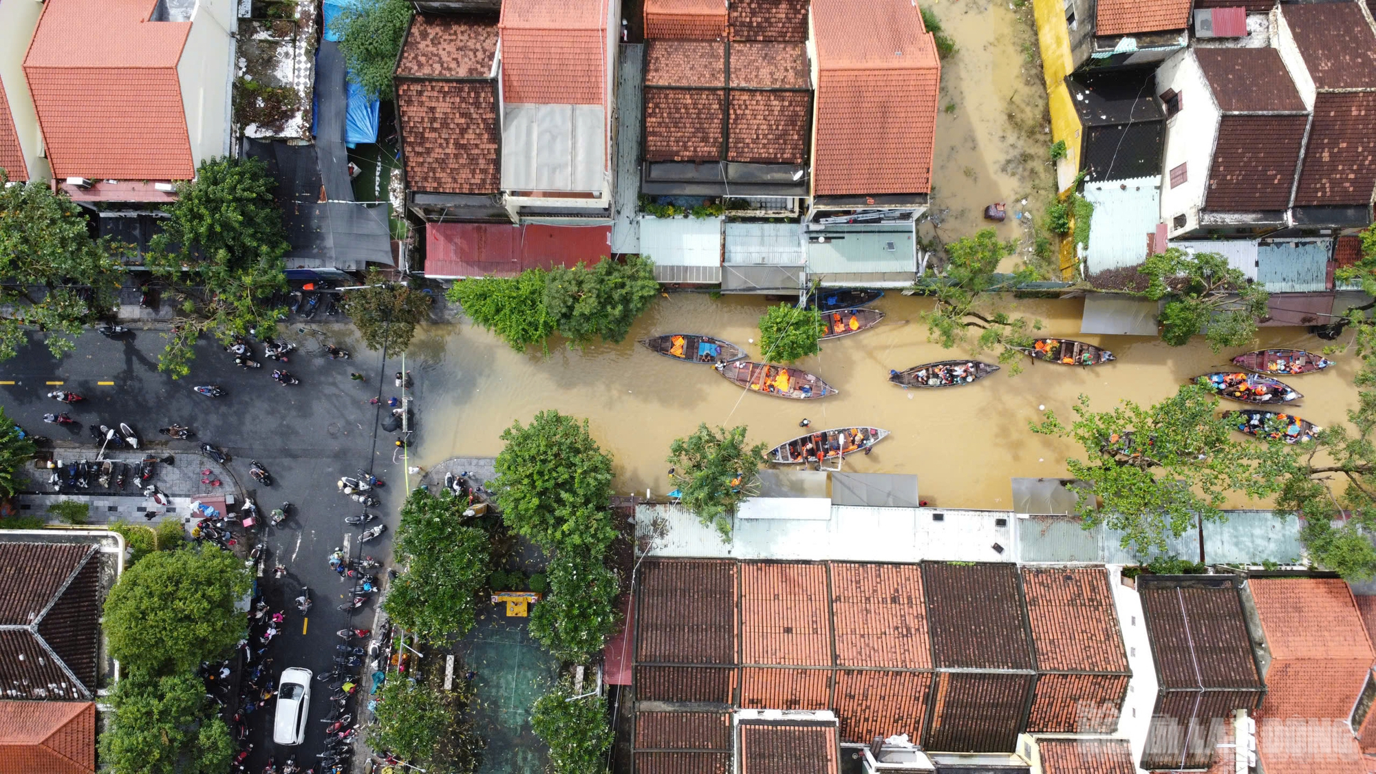 Toàn cảnh Hội An trong đỉnh lũ lịch sử, vượt mức năm 1964- Ảnh 8. Toàn cảnh Hội An trong đỉnh lũ lịch sử, vượt mức năm 1964- Ảnh 8.