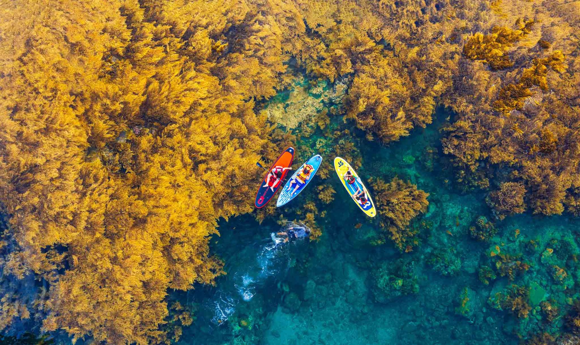 Sánh vai cùng Brazil và Mexico, đại diện duy nhất của Việt Nam lọt top điểm đến hàng đầu thế giới 2026- Ảnh 4.