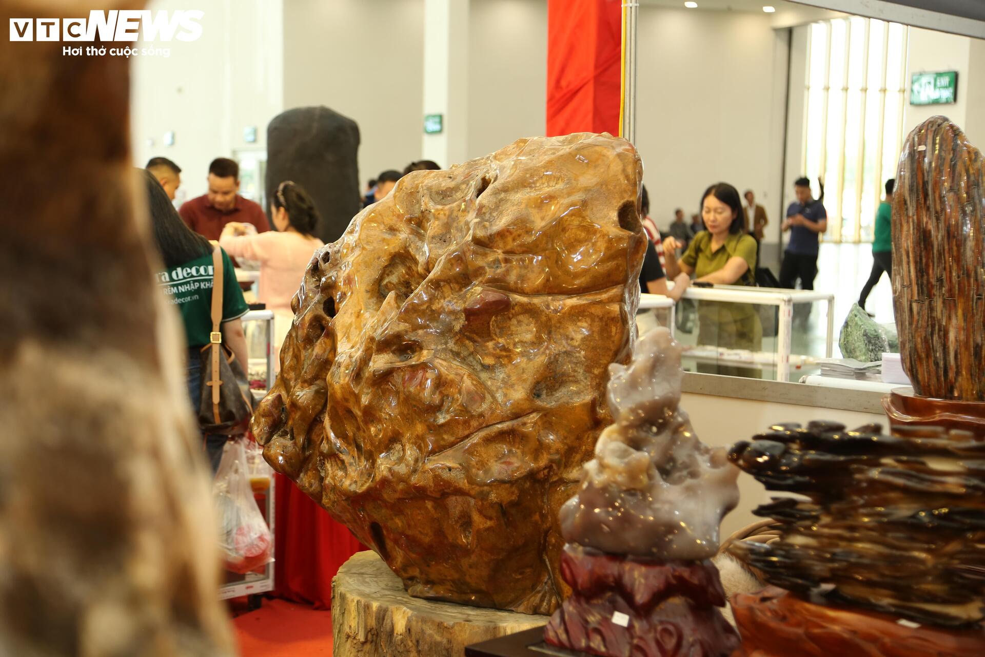 Khách tò mò ngắm san hô, gỗ hóa thạch trăm triệu tuổi, giá tiền tỷ- Ảnh 7. Khách tò mò ngắm san hô, gỗ hóa thạch trăm triệu tuổi, giá tiền tỷ- Ảnh 7.