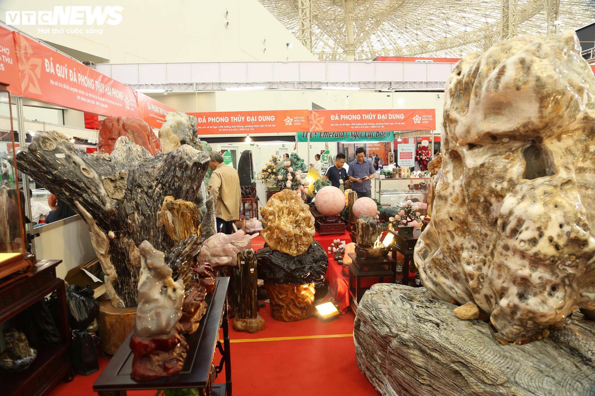 Khách tò mò ngắm san hô, gỗ hóa thạch trăm triệu tuổi, giá tiền tỷ- Ảnh 10. Khách tò mò ngắm san hô, gỗ hóa thạch trăm triệu tuổi, giá tiền tỷ- Ảnh 10.