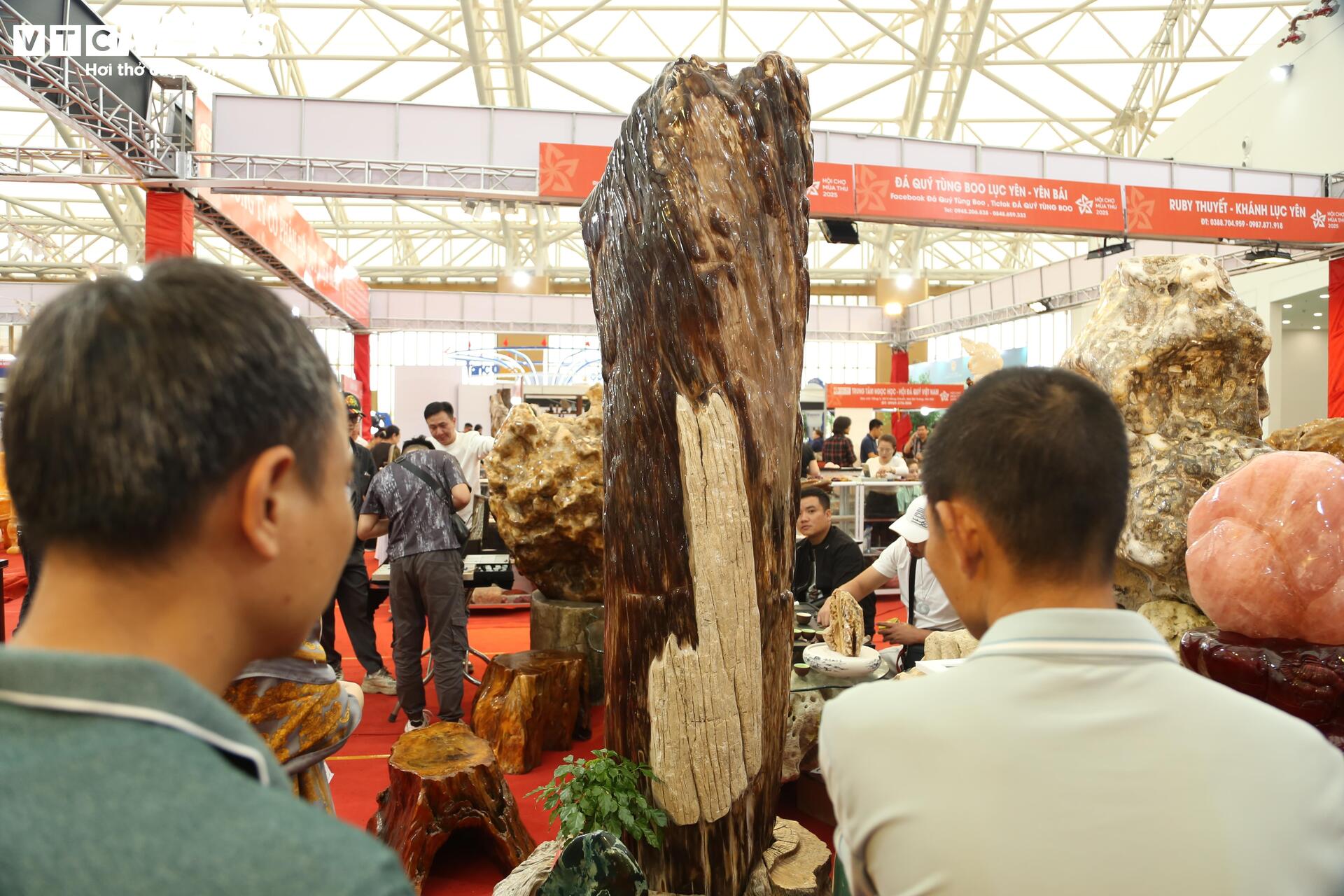 Khách tò mò ngắm san hô, gỗ hóa thạch trăm triệu tuổi, giá tiền tỷ- Ảnh 8. Khách tò mò ngắm san hô, gỗ hóa thạch trăm triệu tuổi, giá tiền tỷ- Ảnh 8.