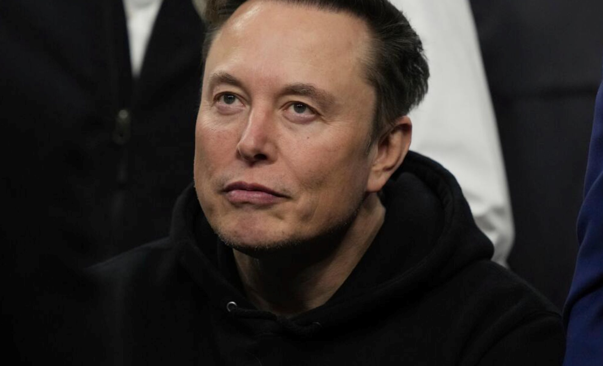 Elon Musk ra mắt nền tảng bách khoa toàn thư thách thức Wikipedia- Ảnh 2. Elon Musk ra mắt nền tảng bách khoa toàn thư thách thức Wikipedia- Ảnh 2.