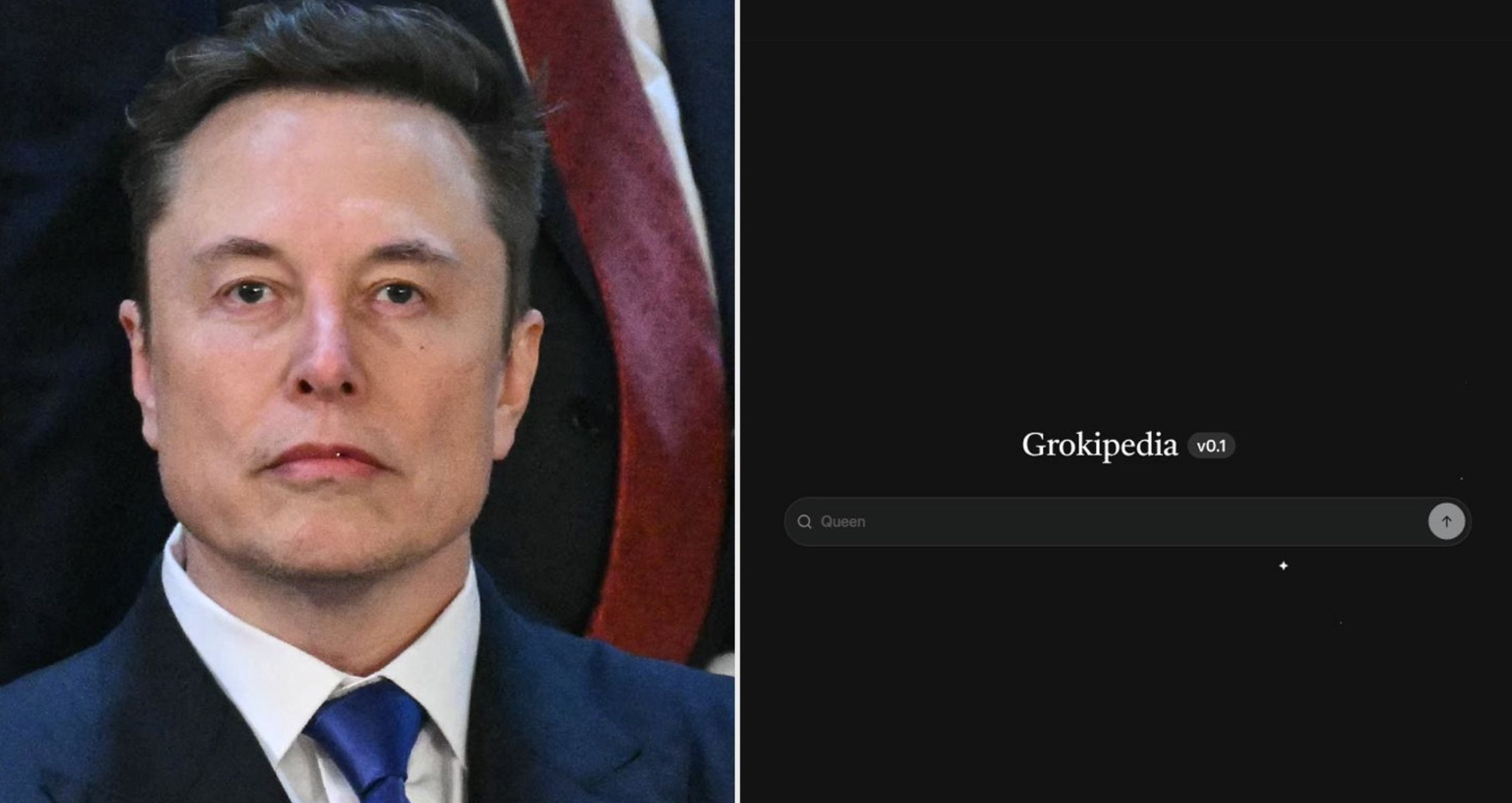 Elon Musk ra mắt nền tảng bách khoa toàn thư thách thức Wikipedia- Ảnh 1. Elon Musk ra mắt nền tảng bách khoa toàn thư thách thức Wikipedia- Ảnh 1.