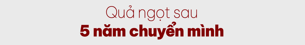Tổng Giám đốc Nguyễn Ngọc Linh: "Tuổi 18, DNSE tràn đầy sức trẻ, dám làm và dám dấn thân”- Ảnh 8. Tổng Giám đốc Nguyễn Ngọc Linh: "Tuổi 18, DNSE tràn đầy sức trẻ, dám làm và dám dấn thân”- Ảnh 8.