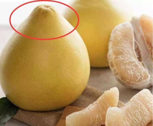 Mùa này có loại quả tốt hơn thịt: Chợ Việt bán sẵn, không mua phí của trời- Ảnh 4. Mùa này có loại quả tốt hơn thịt: Chợ Việt bán sẵn, không mua phí của trời- Ảnh 4.