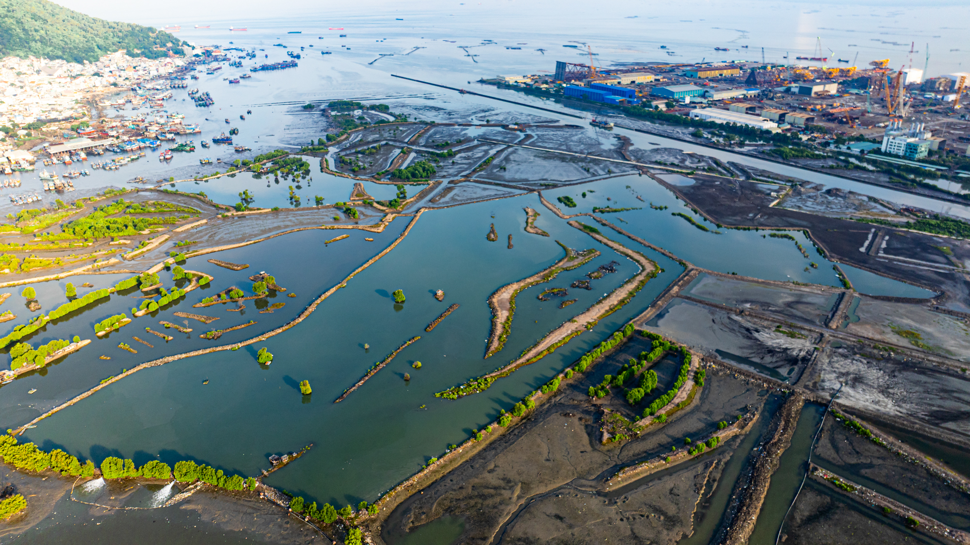 Toàn cảnh khu đất hiếm hoi rộng đến 110 ha còn sót lại ở trung tâm Vũng Tàu đang được Sun Group nhắm đến- Ảnh 5. Toàn cảnh khu đất hiếm hoi rộng đến 110 ha còn sót lại ở trung tâm Vũng Tàu đang được Sun Group nhắm đến- Ảnh 5.