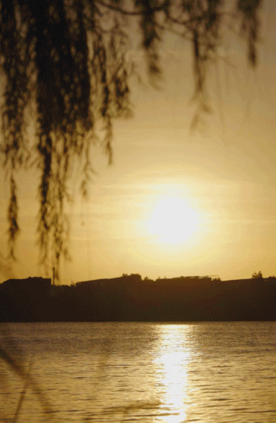 Sống một mình giữa ngôi nhà 350m2 đầy hơi ấm cùng Einstein, nữ nghệ sĩ 35 tuổi nhắn nhủ: Tự do không phải là bỏ đi mọi ràng buộc mà là...- Ảnh 14.