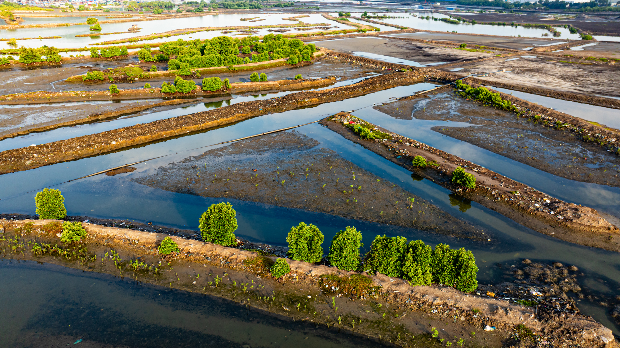 Toàn cảnh khu đất hiếm hoi rộng đến 110 ha còn sót lại ở trung tâm Vũng Tàu đang được Sun Group nhắm đến- Ảnh 8. Toàn cảnh khu đất hiếm hoi rộng đến 110 ha còn sót lại ở trung tâm Vũng Tàu đang được Sun Group nhắm đến- Ảnh 8.
