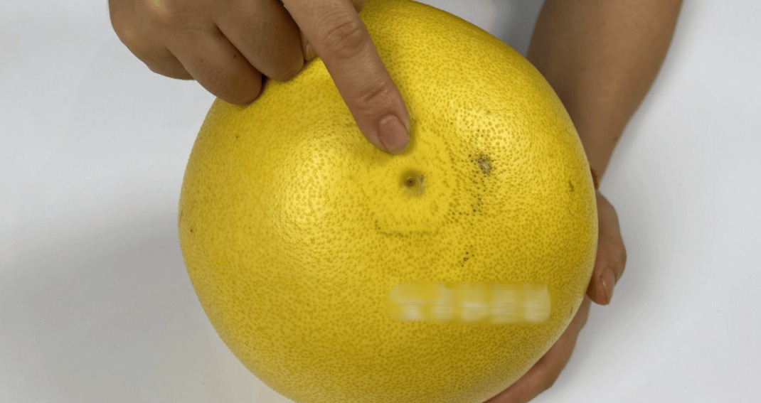 Mùa này có loại quả tốt hơn thịt: Chợ Việt bán sẵn, không mua phí của trời- Ảnh 3. Mùa này có loại quả tốt hơn thịt: Chợ Việt bán sẵn, không mua phí của trời- Ảnh 3.