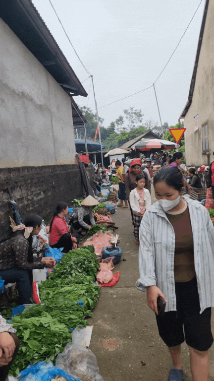Nông sản độc lạ ở chợ phiên vùng cao: Không chỉ có măng khô, cua đá, đuông cọ... mà còn có cả "vàng đen" Tây Bắc- Ảnh 3.