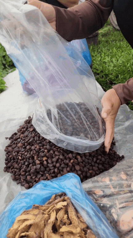 Nông sản độc lạ ở chợ phiên vùng cao: Không chỉ có măng khô, cua đá, đuông cọ... mà còn có cả "vàng đen" Tây Bắc- Ảnh 19.