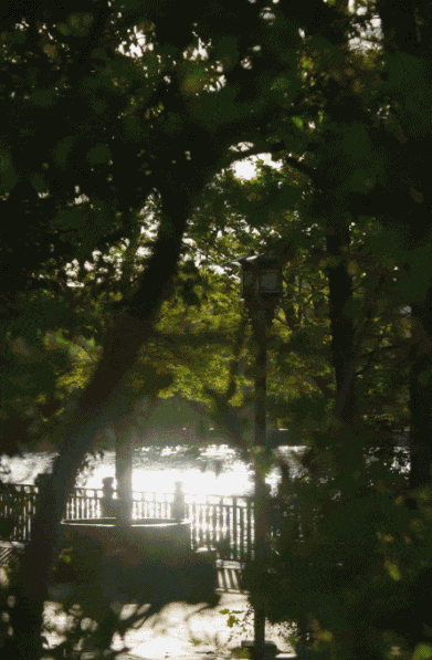 Sống một mình giữa ngôi nhà 350m2 đầy hơi ấm cùng Einstein, nữ nghệ sĩ 35 tuổi nhắn nhủ: Tự do không phải là bỏ đi mọi ràng buộc mà là...- Ảnh 2.