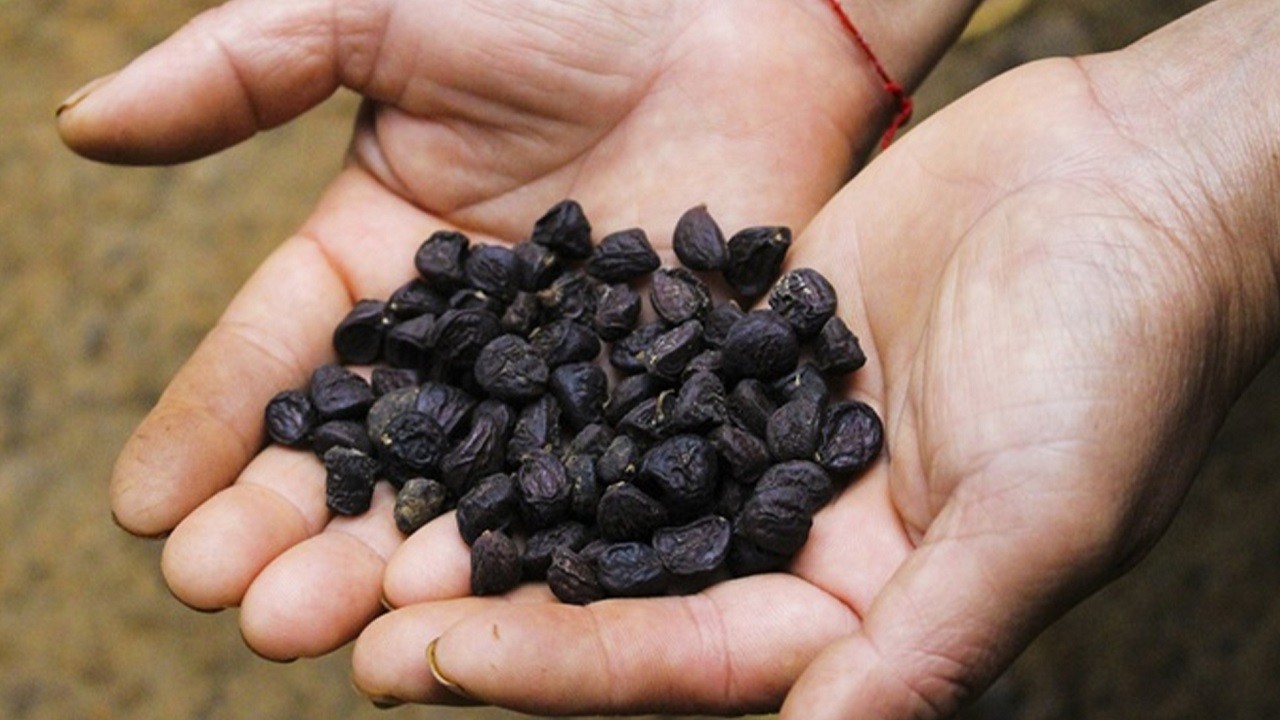 Nông sản độc lạ ở chợ phiên vùng cao: Không chỉ có măng khô, cua đá, đuông cọ... mà còn có cả "vàng đen" Tây Bắc- Ảnh 20.