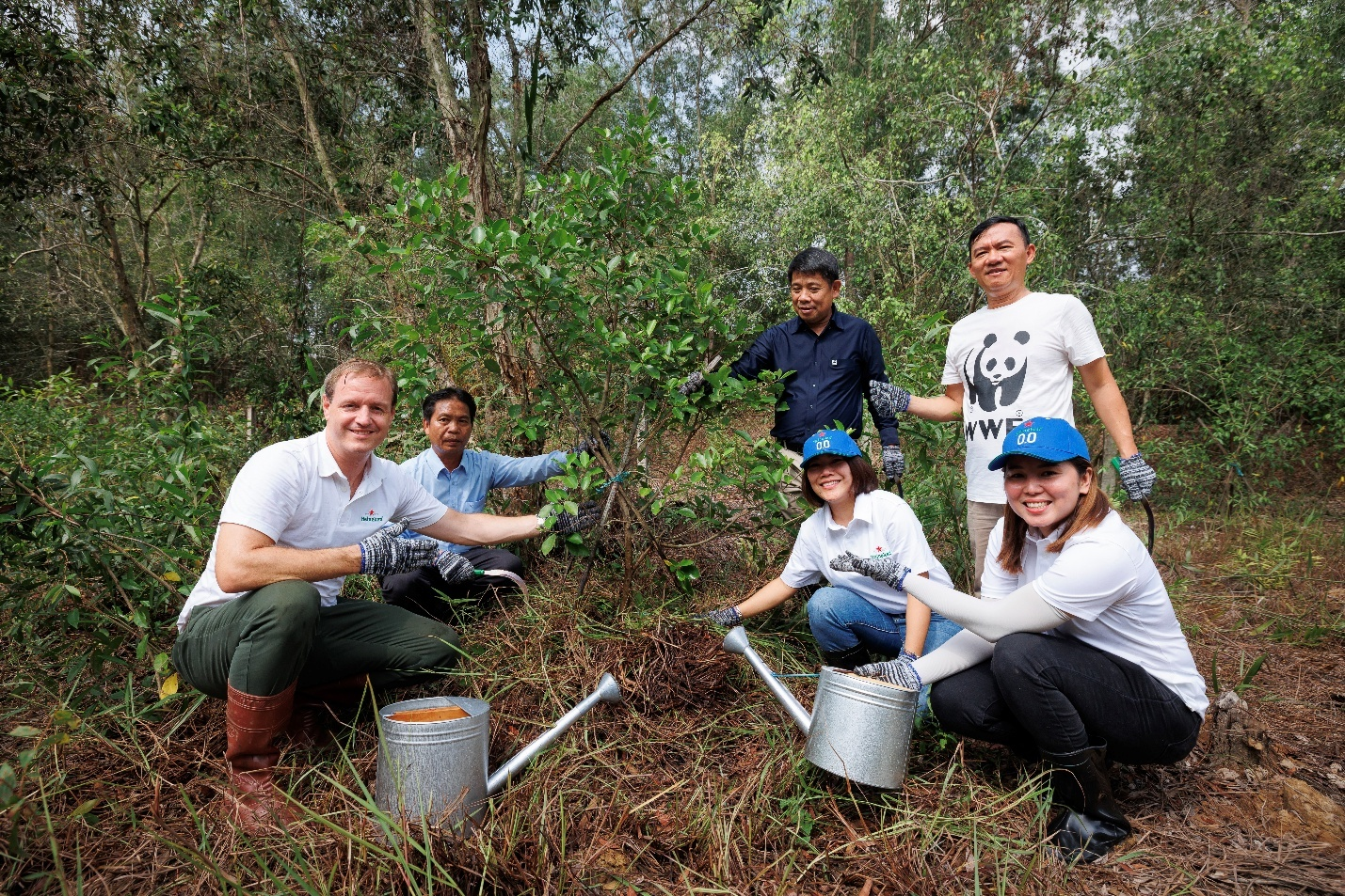 Trái tim  Trái tim