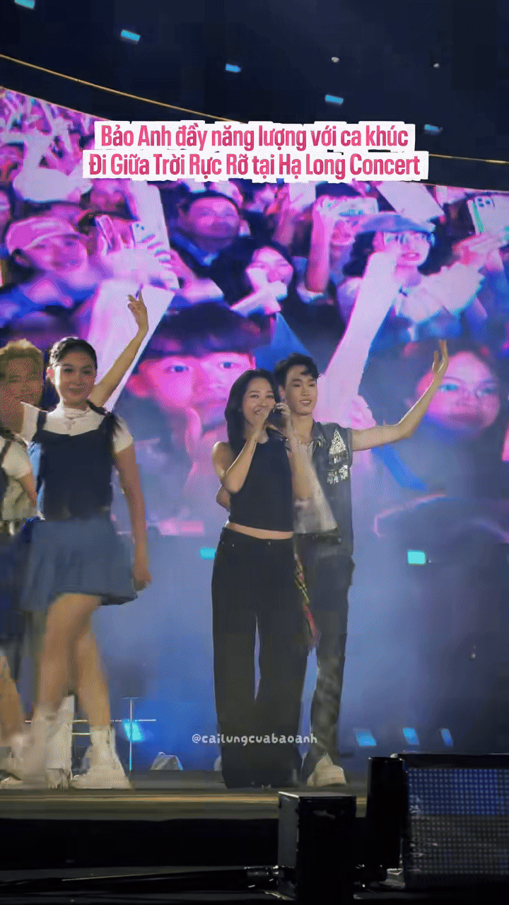 Bảo Anh xin lỗi- Ảnh 1. Bảo Anh xin lỗi- Ảnh 1.