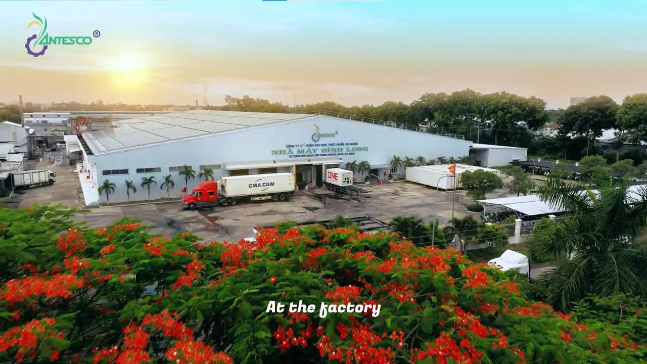 Công ty Việt Nam đầu tiên đưa nông sản đông lạnh vào châu Âu, Mỹ, Nhật: Lãi 9 tháng lớn chưa từng có, cổ phiếu ở vùng đỉnh lịch sử- Ảnh 4. Công ty Việt Nam đầu tiên đưa nông sản đông lạnh vào châu Âu, Mỹ, Nhật: Lãi 9 tháng lớn chưa từng có, cổ phiếu ở vùng đỉnh lịch sử- Ảnh 4.