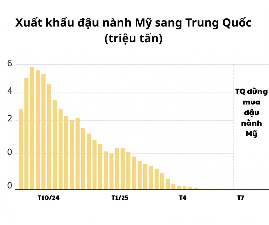 Dày công ‘luyện võ’ 7 năm, Trung Quốc sử dụng chính đòn thương mại của Mỹ để ‘chiến’ với Washington, khiến nền kinh tế lớn nhất thế giới lâm cảnh gậy ông đập lưng ông- Ảnh 4. Dày công ‘luyện võ’ 7 năm, Trung Quốc sử dụng chính đòn thương mại của Mỹ để ‘chiến’ với Washington, khiến nền kinh tế lớn nhất thế giới lâm cảnh gậy ông đập lưng ông- Ảnh 4.
