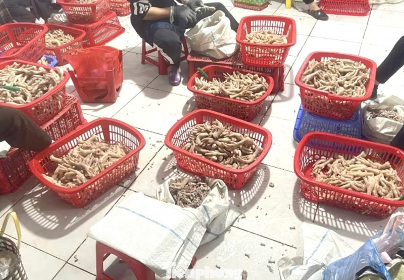 Thu giữ trên 3,5 tấn chân gà ‘bẩn’ ở khu vực biên giới- Ảnh 1. Thu giữ trên 3,5 tấn chân gà ‘bẩn’ ở khu vực biên giới- Ảnh 1.