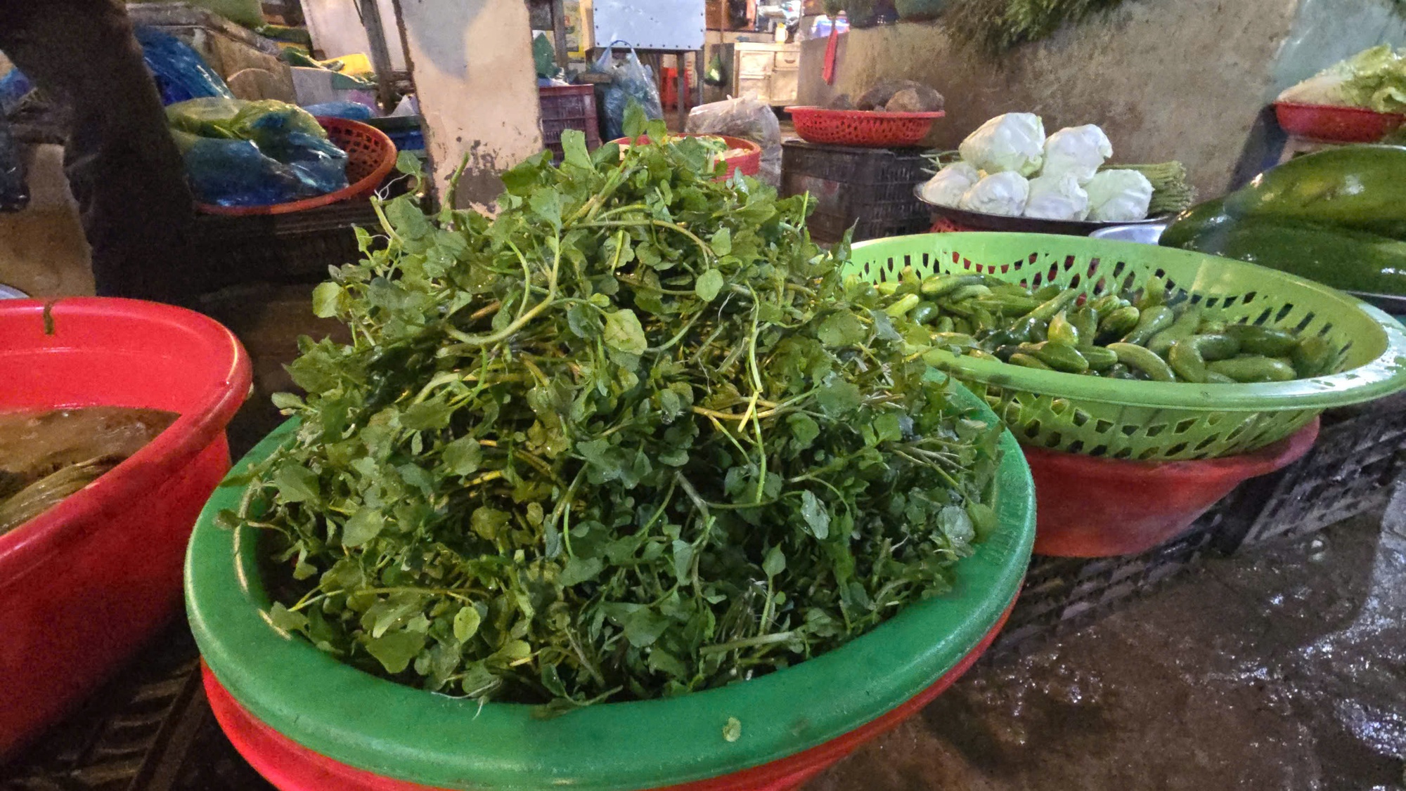 Giá nông thủy sản miền Tây: Rau xanh tăng giá vùn vụt- Ảnh 4. Giá nông thủy sản miền Tây: Rau xanh tăng giá vùn vụt- Ảnh 4.