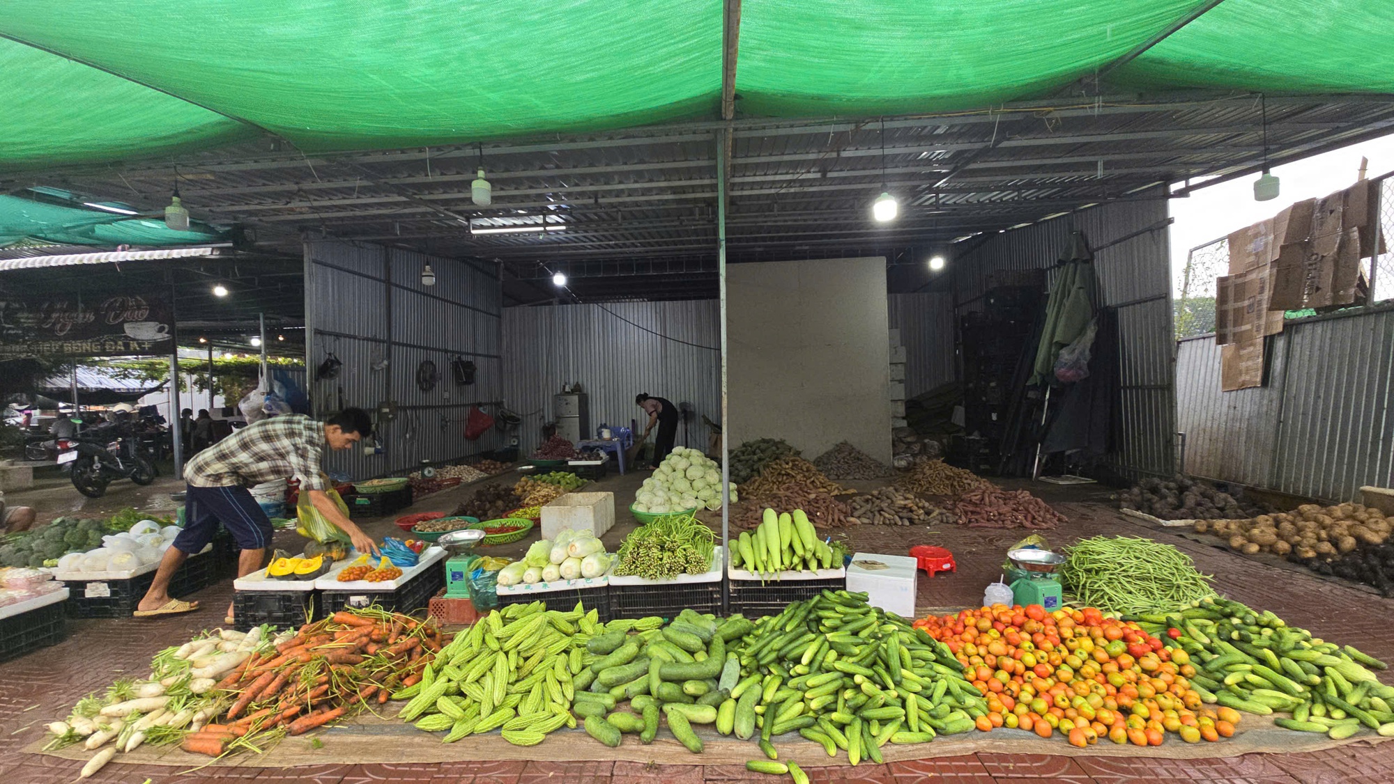 Giá nông thủy sản miền Tây: Rau xanh tăng giá vùn vụt- Ảnh 2. Giá nông thủy sản miền Tây: Rau xanh tăng giá vùn vụt- Ảnh 2.