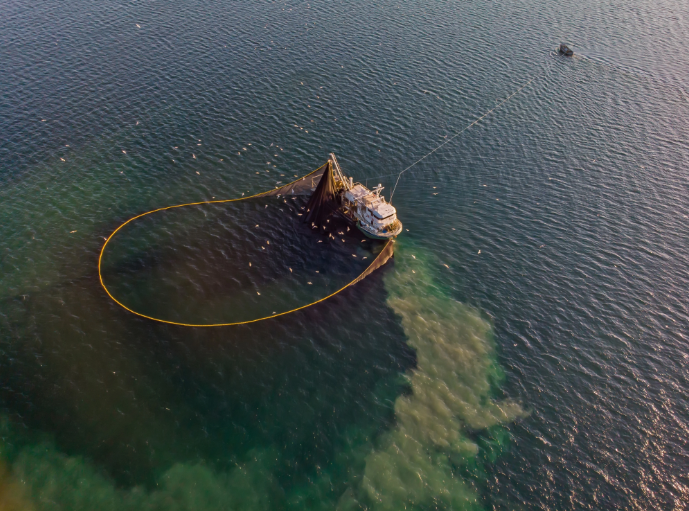 Cảnh báo nguy cơ từ thủy ngân trong đại dương- Ảnh 1. Cảnh báo nguy cơ từ thủy ngân trong đại dương- Ảnh 1.