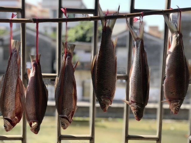 4 loại cá "bổ dưỡng nhất trần gian", được mệnh danh là "báu vật dưới nước", không phải cá hố hay cá diếc- Ảnh 1.