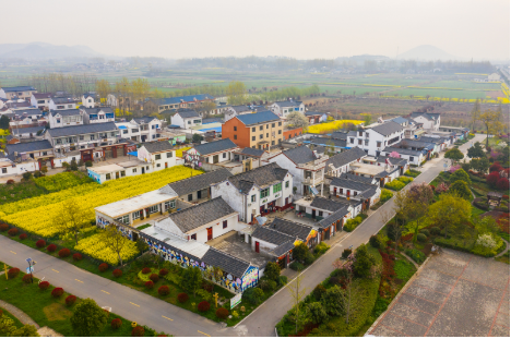 Cựu giảng viên về quê xây biệt thự dưỡng già, chưa đầy 1 năm đã hối hận: "Nhìn qua thì hay, nhưng lâu dài thì phải xem lại"- Ảnh 1. Cựu giảng viên về quê xây biệt thự dưỡng già, chưa đầy 1 năm đã hối hận: "Nhìn qua thì hay, nhưng lâu dài thì phải xem lại"- Ảnh 1.