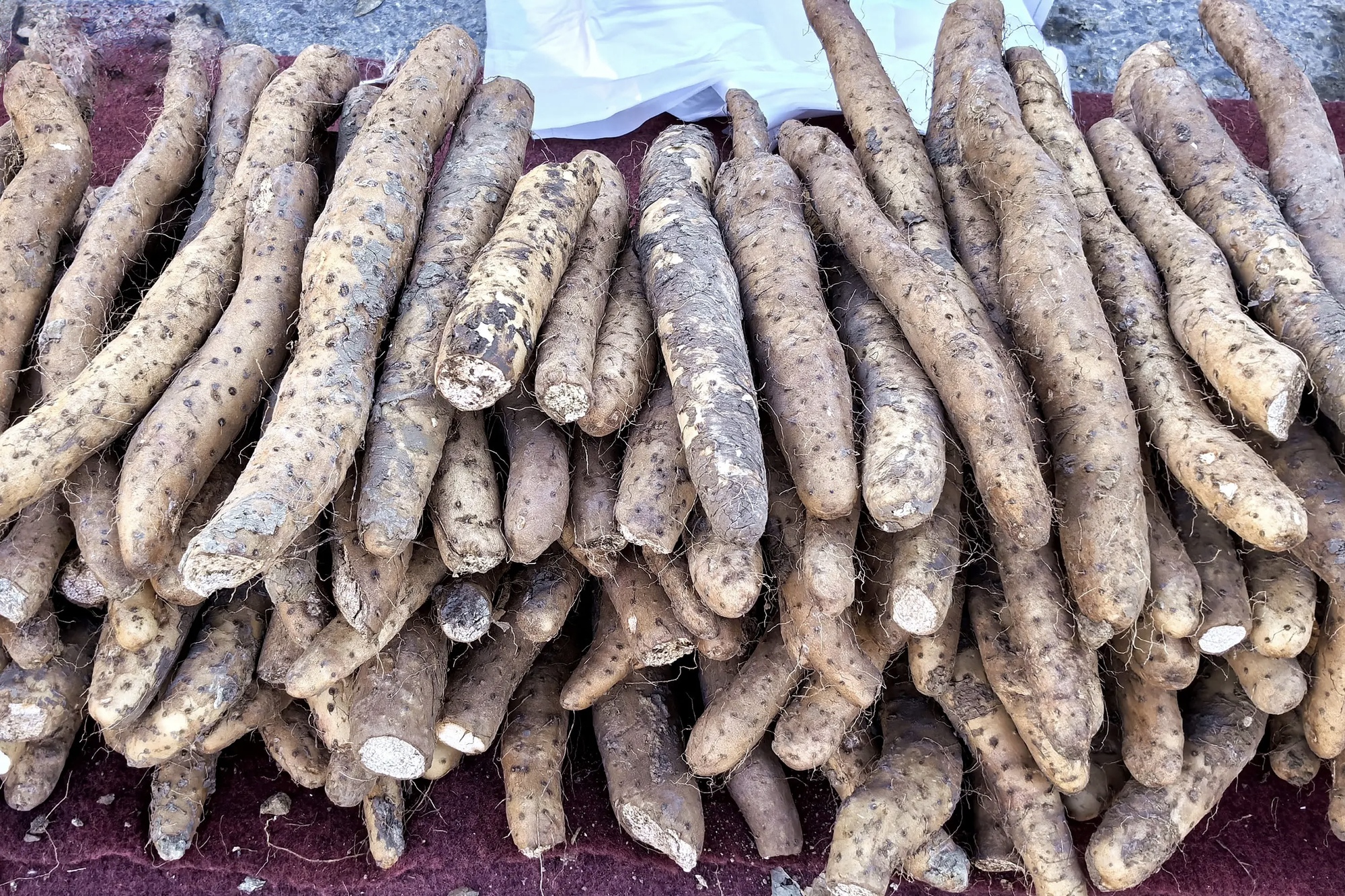 Thật đáng tiếc nếu bạn bỏ qua 4 "báu vật" của mùa thu: Tháng 10 này hãy luân phiên nấu món ăn vừa ngon lại có nhiều lợi ích- Ảnh 18.