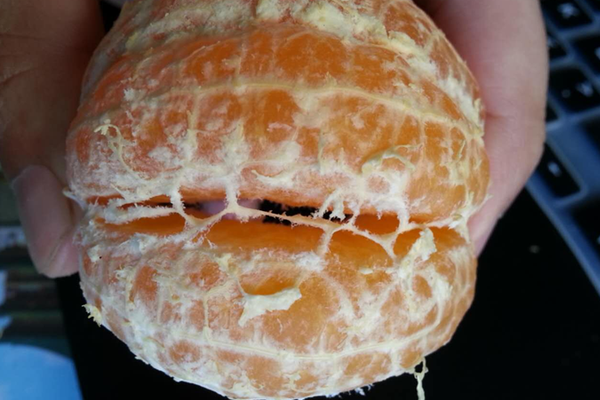 4 thứ "bỏ đi" hóa ra lại là "vàng ròng", nhiều người Việt biết thì tiếc hùi hụi- Ảnh 4.