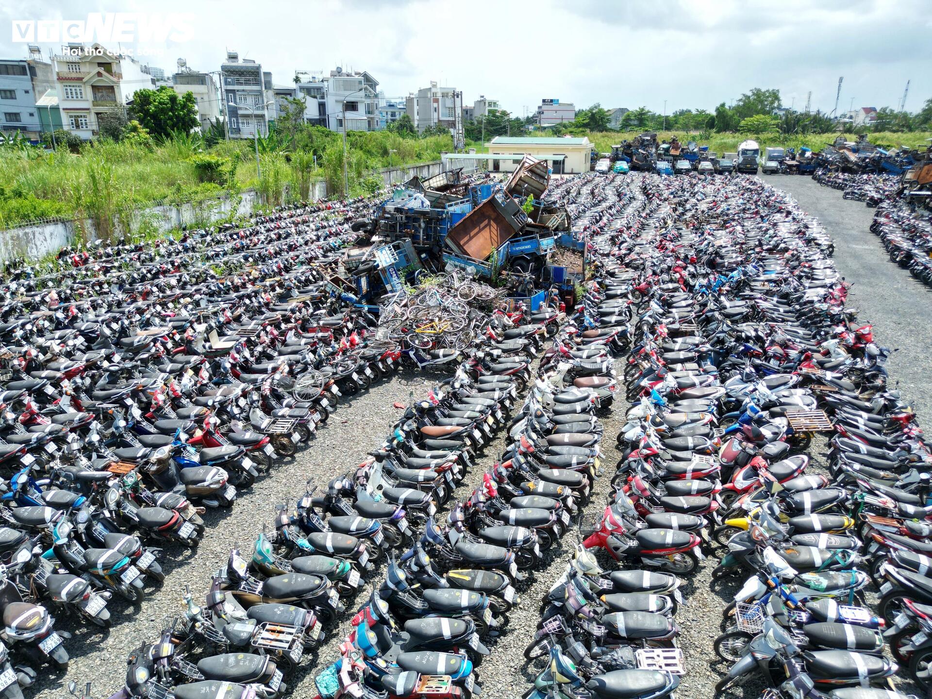 TP.HCM đấu giá thành công hơn 1.600 phương tiện vi phạm, thu hơn 3 tỷ đồng- Ảnh 7.