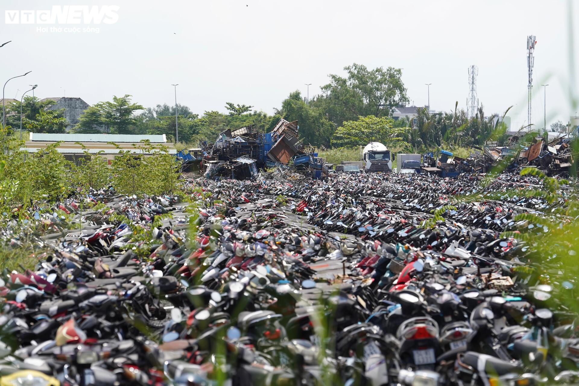 TP.HCM đấu giá thành công hơn 1.600 phương tiện vi phạm, thu hơn 3 tỷ đồng- Ảnh 3.