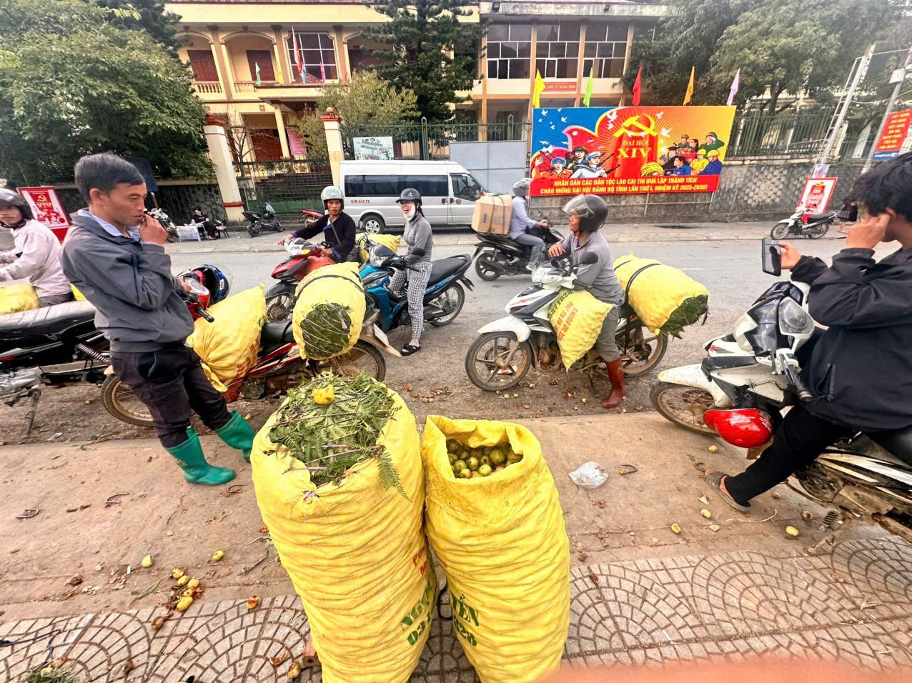 Đặc sản táo mèo Mù Cang Chải vào vụ- Ảnh 4.