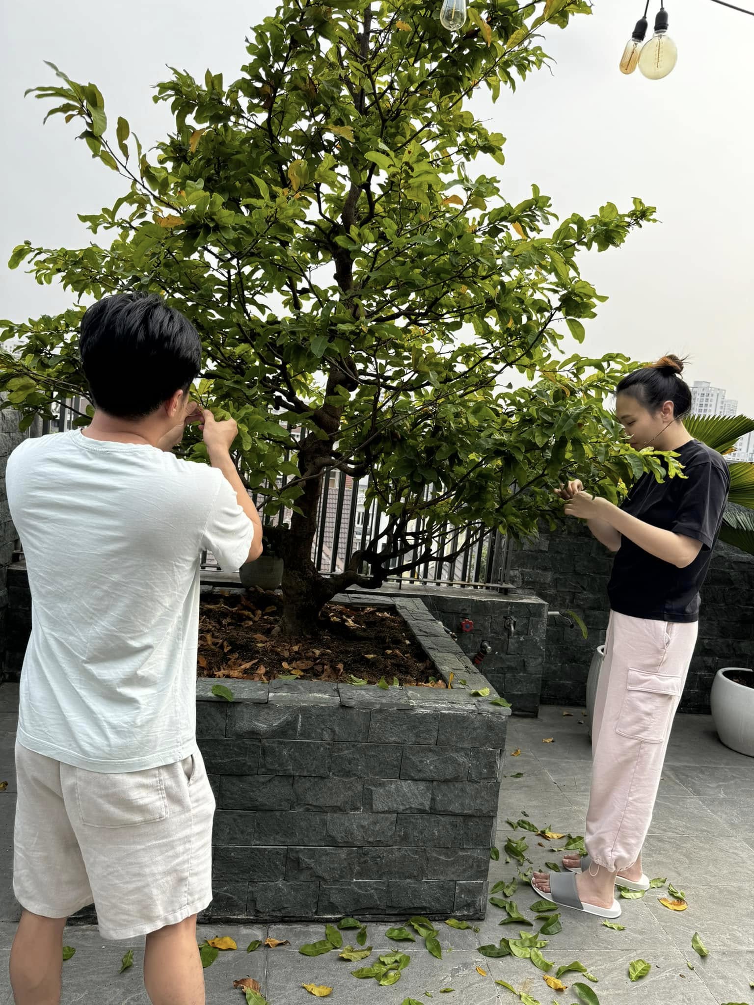 1 điều Cường Đô La chỉ dám làm khi Đàm Thu Trang đã ngủ say- Ảnh 5. 1 điều Cường Đô La chỉ dám làm khi Đàm Thu Trang đã ngủ say- Ảnh 5.