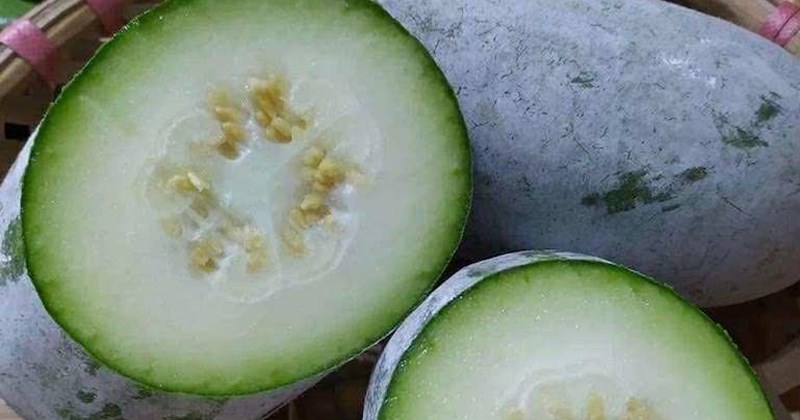 Nhiều người không ngờ: 3 loại rau củ rẻ bèo ở chợ Việt nhưng bổ phổi, giải độc cực mạnh vào mùa thu- Ảnh 1.