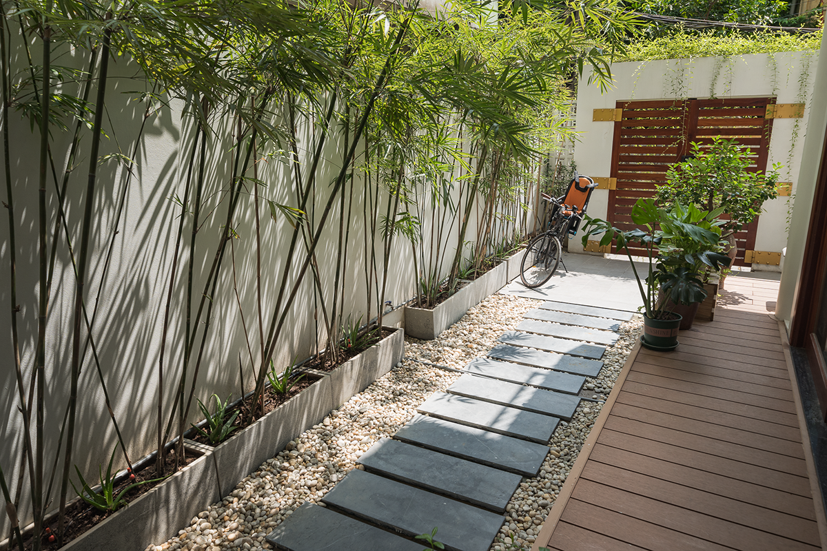 Cải tạo nhà ống chật chội thành không gian sống xanh mát- Ảnh 2.