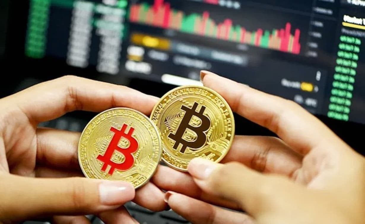 Việt Nam định hình dòng vốn số hàng chục tỷ USD- Ảnh 2.