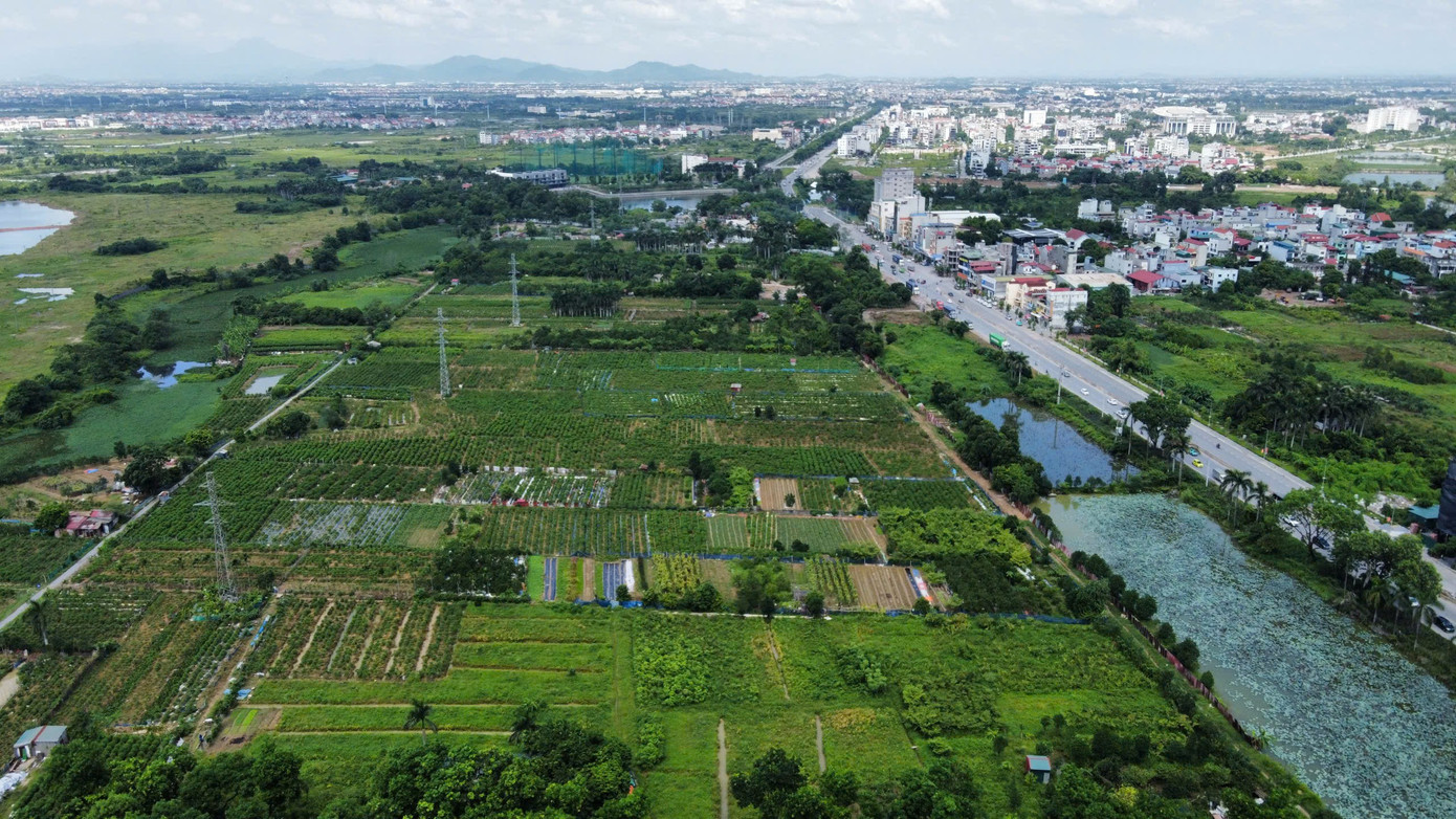 Đề xuất bỏ kế hoạch sử dụng đất 5 năm các thành phố trực thuộc Trung ương- Ảnh 1.