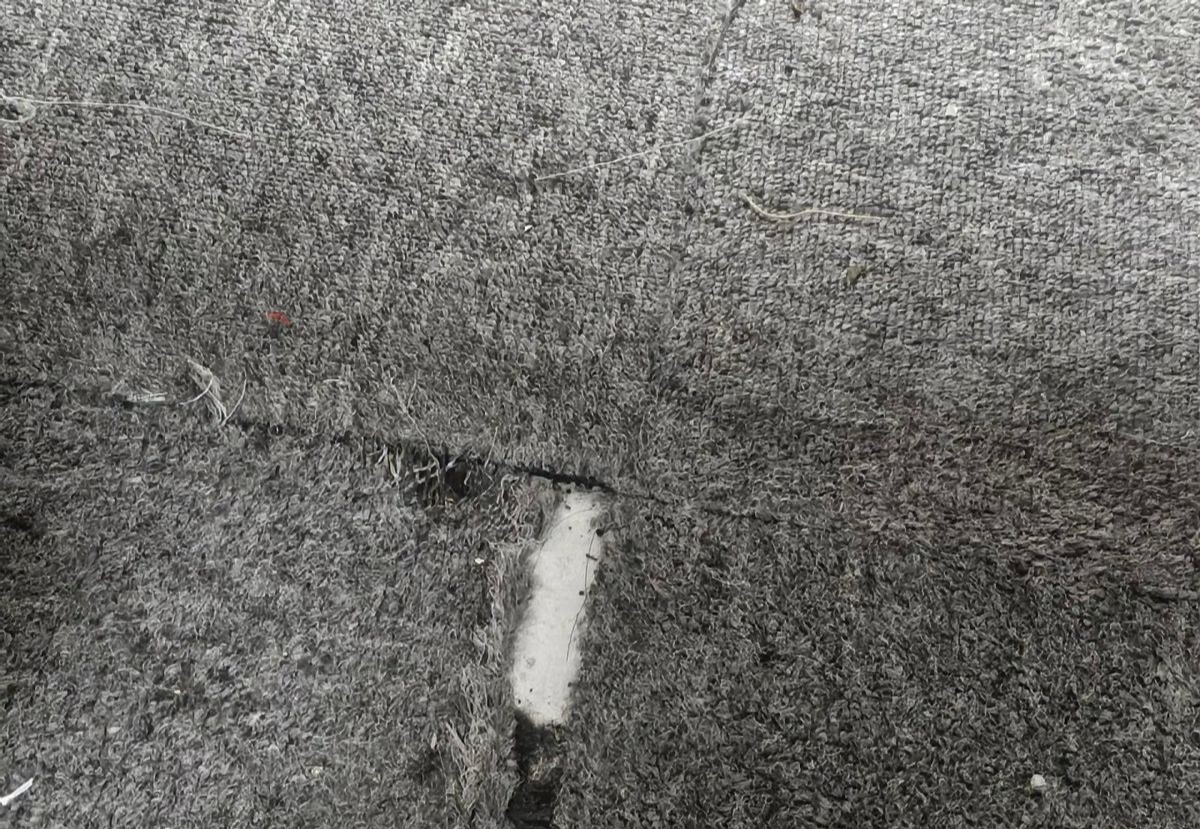 6 thứ giá rẻ ham mua là hại thân, khuyên bạn đừng dại dột!- Ảnh 5. 6 thứ giá rẻ ham mua là hại thân, khuyên bạn đừng dại dột!- Ảnh 5.