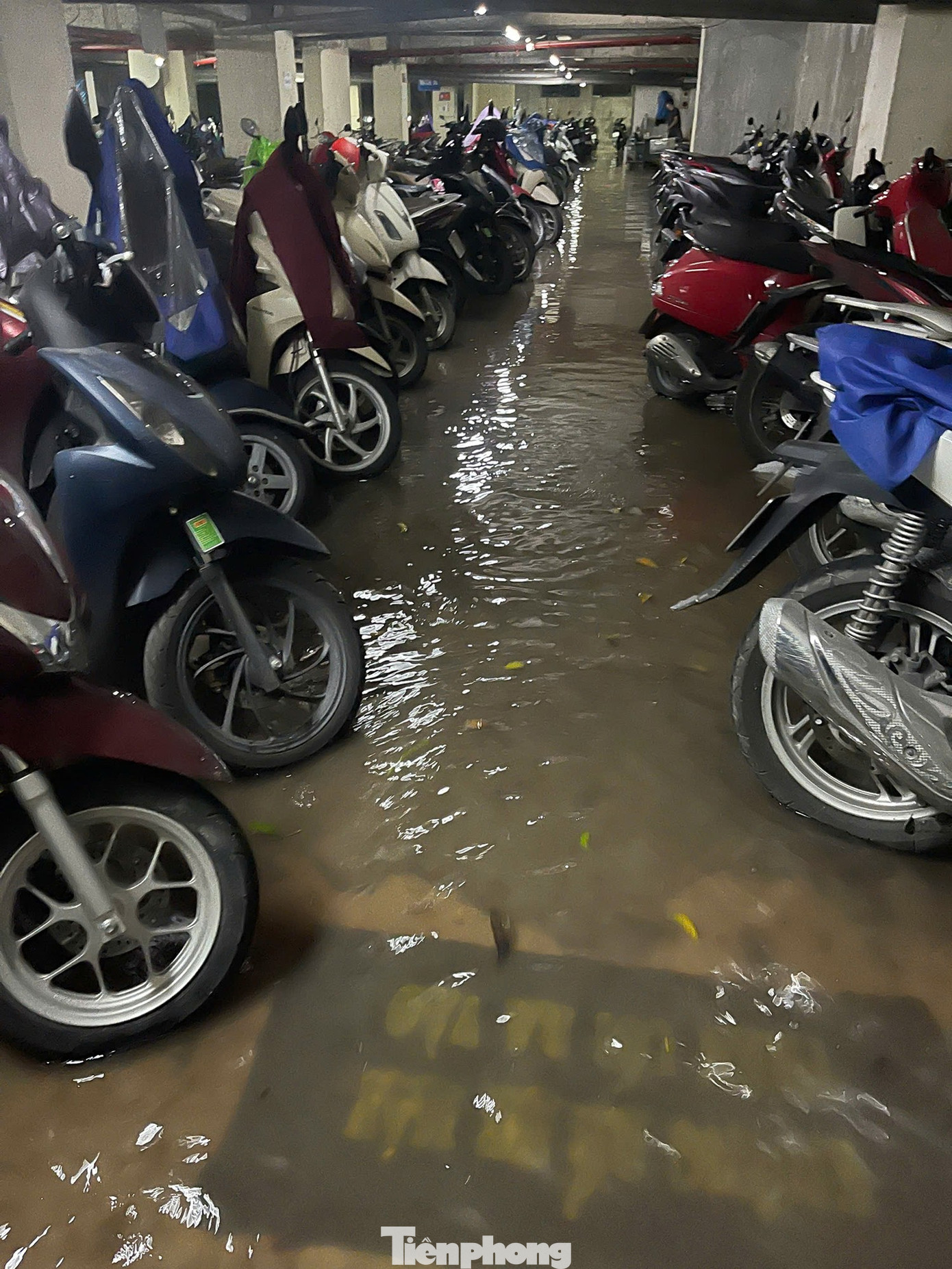 Hầm chung cư thành bể nước khổng lồ, thủy kích hàng trăm xe máy và ôtô- Ảnh 5.