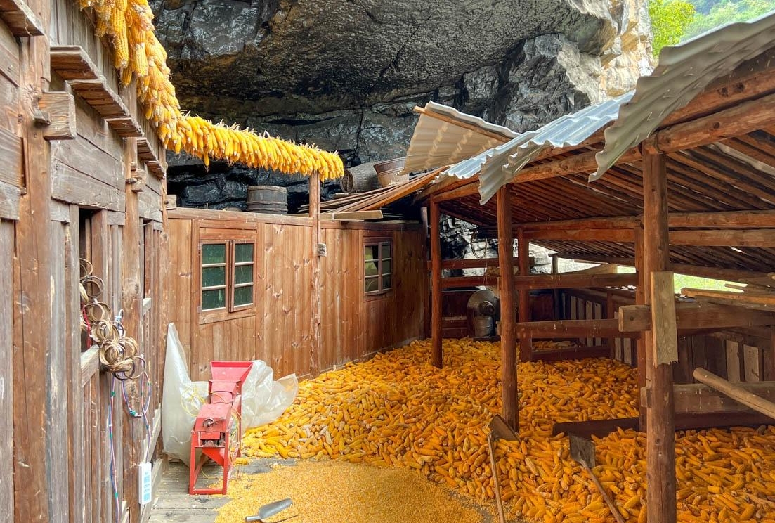 Có gì bên trong biệt thự gỗ 5 tầng "mọc" ra từ vách đá, thiết kế thông minh, được trả 18 tỷ chủ nhân cũng không bán?- Ảnh 5. Có gì bên trong biệt thự gỗ 5 tầng "mọc" ra từ vách đá, thiết kế thông minh, được trả 18 tỷ chủ nhân cũng không bán?- Ảnh 5.