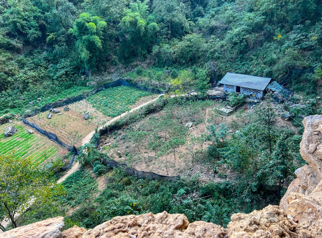 Có gì bên trong biệt thự gỗ 5 tầng "mọc" ra từ vách đá, thiết kế thông minh, được trả 18 tỷ chủ nhân cũng không bán?- Ảnh 15. Có gì bên trong biệt thự gỗ 5 tầng "mọc" ra từ vách đá, thiết kế thông minh, được trả 18 tỷ chủ nhân cũng không bán?- Ảnh 15.