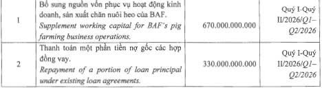 Baf Việt Nam lên kế hoạch phát hành 1.000 tỷ đồng trái phiếu- Ảnh 2.