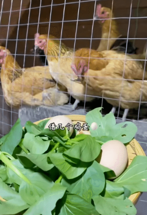 Hội chị em phát sốt trước căn bếp trong mơ của gia chủ như tổng tài - biệt phủ nghìn m² chỉ là nền!- Ảnh 9. Hội chị em phát sốt trước căn bếp trong mơ của gia chủ như tổng tài - biệt phủ nghìn m² chỉ là nền!- Ảnh 9.