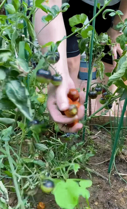 Hội chị em phát sốt trước căn bếp trong mơ của gia chủ như tổng tài - biệt phủ nghìn m² chỉ là nền!- Ảnh 7. Hội chị em phát sốt trước căn bếp trong mơ của gia chủ như tổng tài - biệt phủ nghìn m² chỉ là nền!- Ảnh 7.