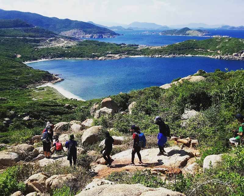 Việt Nam có rừng thuộc dạng quý hiếm ở Đông Nam Á, cả nước chỉ có 1, ngay gần Nha Trang, Phan Thiết- Ảnh 5. Việt Nam có rừng thuộc dạng quý hiếm ở Đông Nam Á, cả nước chỉ có 1, ngay gần Nha Trang, Phan Thiết- Ảnh 5.