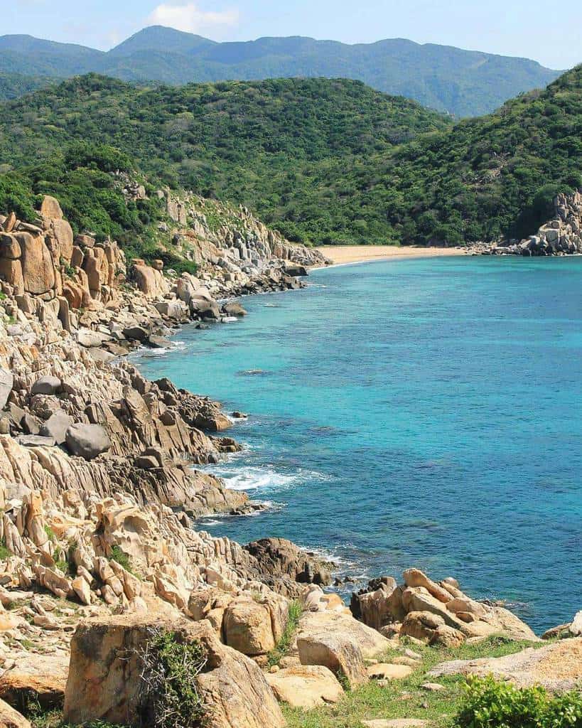 Việt Nam có rừng thuộc dạng quý hiếm ở Đông Nam Á, cả nước chỉ có 1, ngay gần Nha Trang, Phan Thiết- Ảnh 11. Việt Nam có rừng thuộc dạng quý hiếm ở Đông Nam Á, cả nước chỉ có 1, ngay gần Nha Trang, Phan Thiết- Ảnh 11.