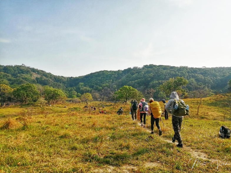 Việt Nam có rừng thuộc dạng quý hiếm ở Đông Nam Á, cả nước chỉ có 1, ngay gần Nha Trang, Phan Thiết- Ảnh 3. Việt Nam có rừng thuộc dạng quý hiếm ở Đông Nam Á, cả nước chỉ có 1, ngay gần Nha Trang, Phan Thiết- Ảnh 3.
