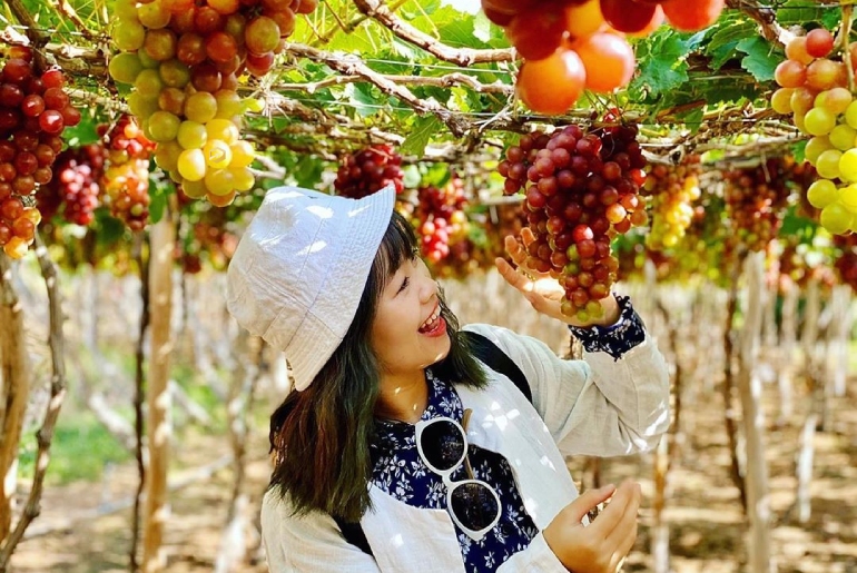 Việt Nam có rừng thuộc dạng quý hiếm ở Đông Nam Á, cả nước chỉ có 1, ngay gần Nha Trang, Phan Thiết- Ảnh 9. Việt Nam có rừng thuộc dạng quý hiếm ở Đông Nam Á, cả nước chỉ có 1, ngay gần Nha Trang, Phan Thiết- Ảnh 9.