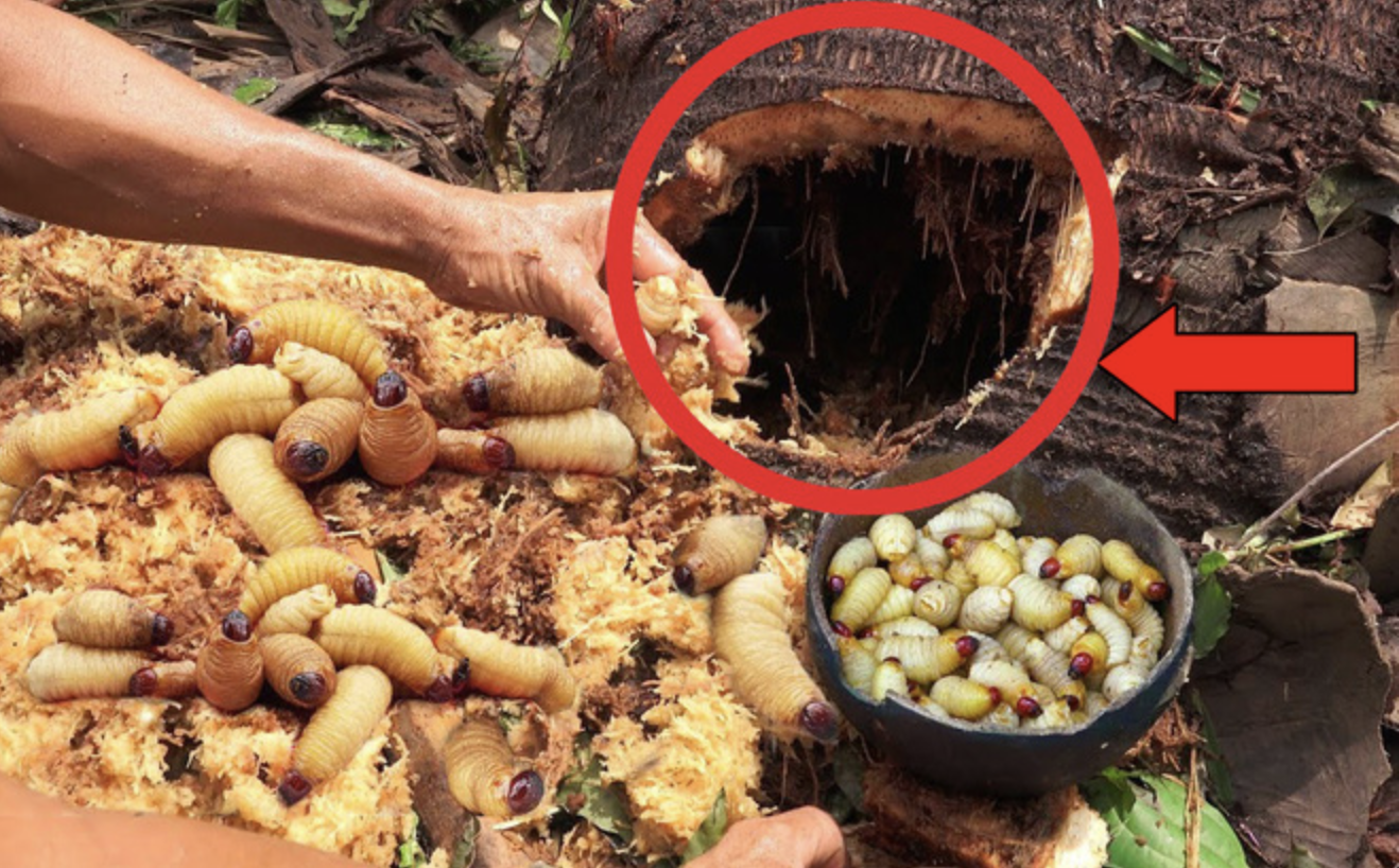 5 món Việt khiến khách Tây sợ 5 món Việt khiến khách Tây sợ